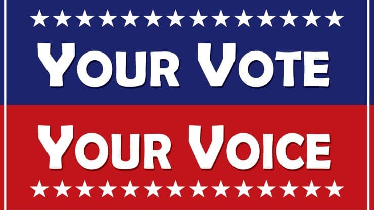 Return Elections to the Voter